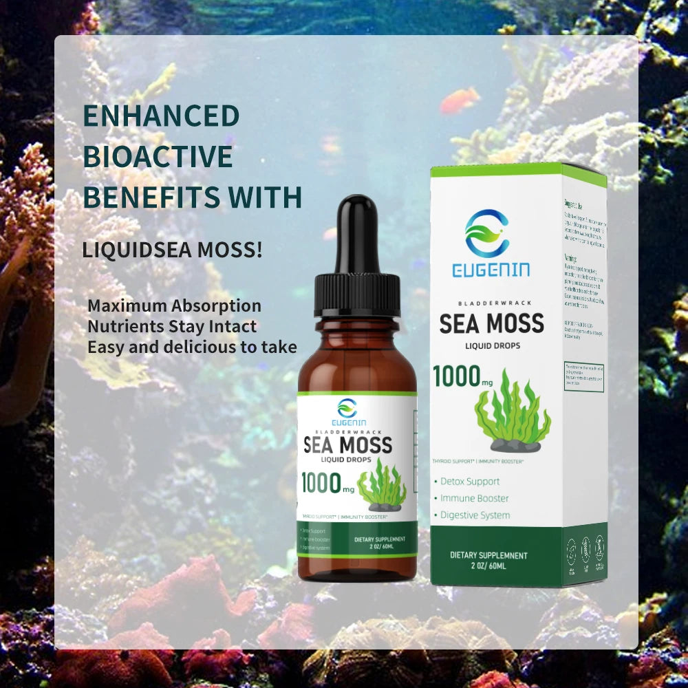 Organic sea moss colon cleanse detox bladder wrack 1000mg weight health supplement private label custom vitamin seamoss oil drop