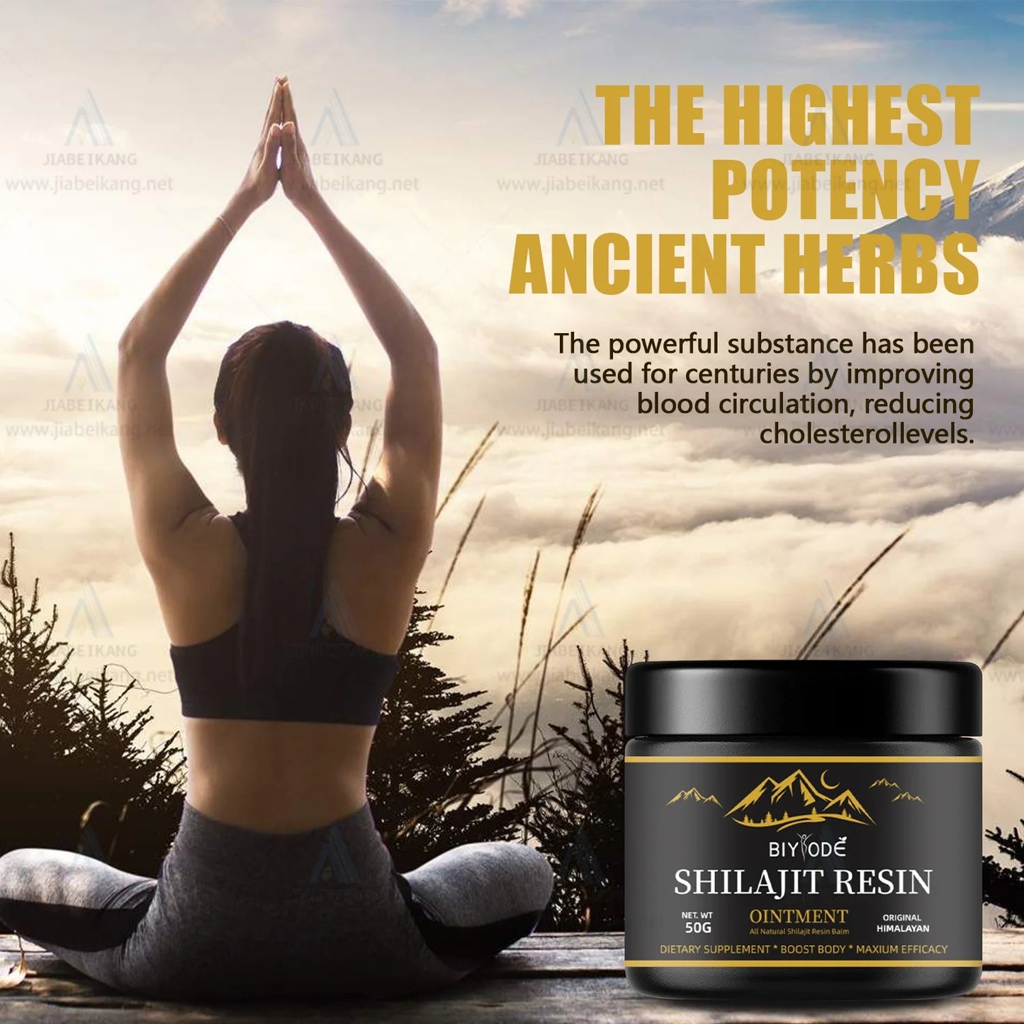 OEM Private Label Improving Energy Heart and Blood Pure Himalayan 100% Natural Shilajit Resin Ointment Jam Health Supplement