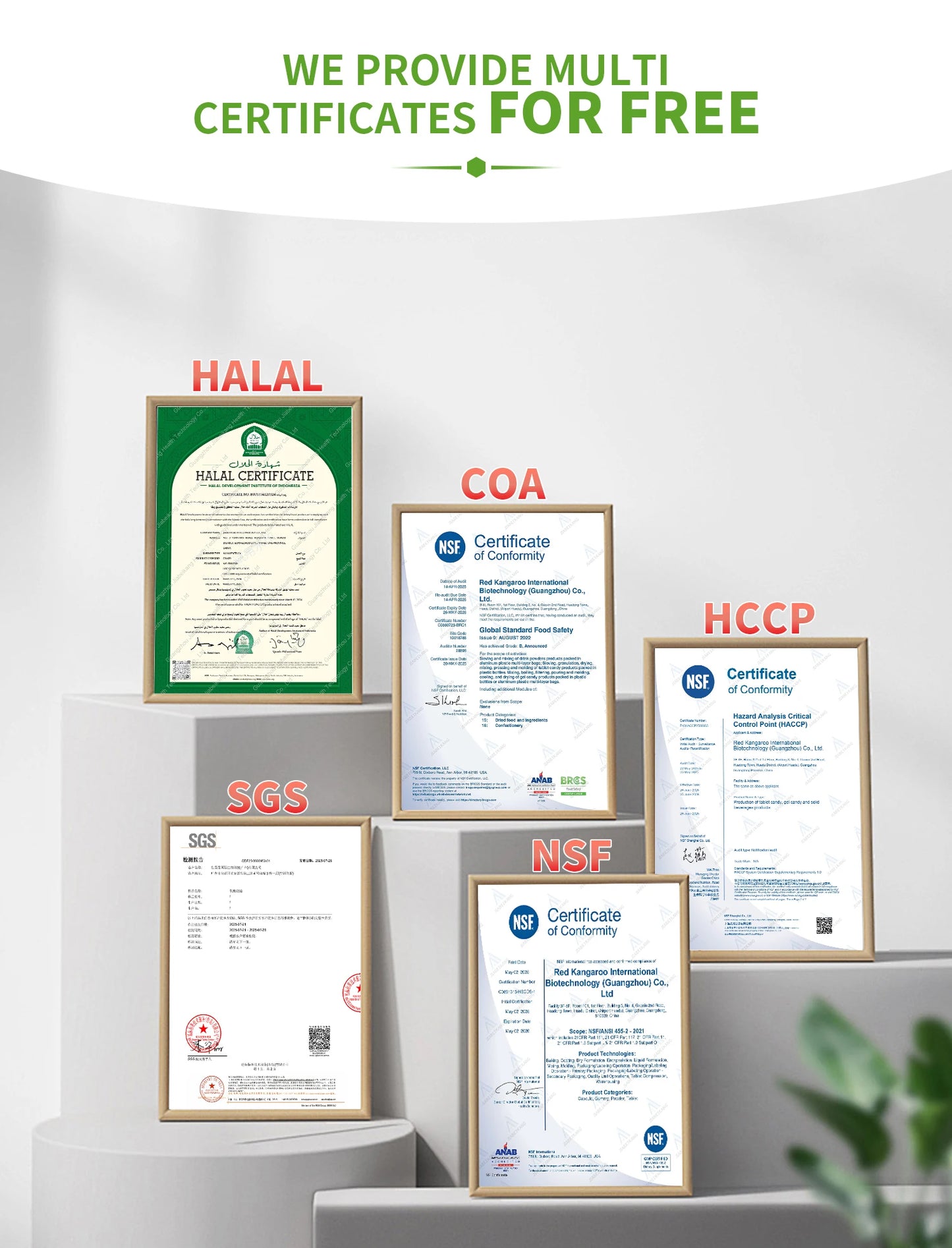 OEM ODM Private Label Collagen Glowing Powder Herbal Supplement Factory Wholesale Hydrolyzed Collagen Powder Custom Label Ready Stock With GMP HALAL NSF COA