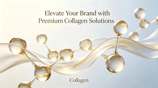 Elevate Your Brand with Premium Collagen Solutions