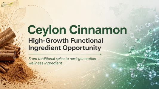How Ceylon Cinnamon Is Becoming a High-Growth Functional Ingredient