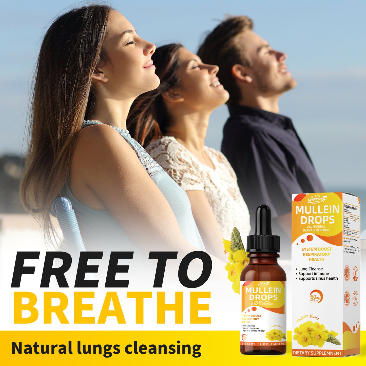 mullein leaf extract herbal supplement for lung detox clean wholesale mullein liposomal liquid drops