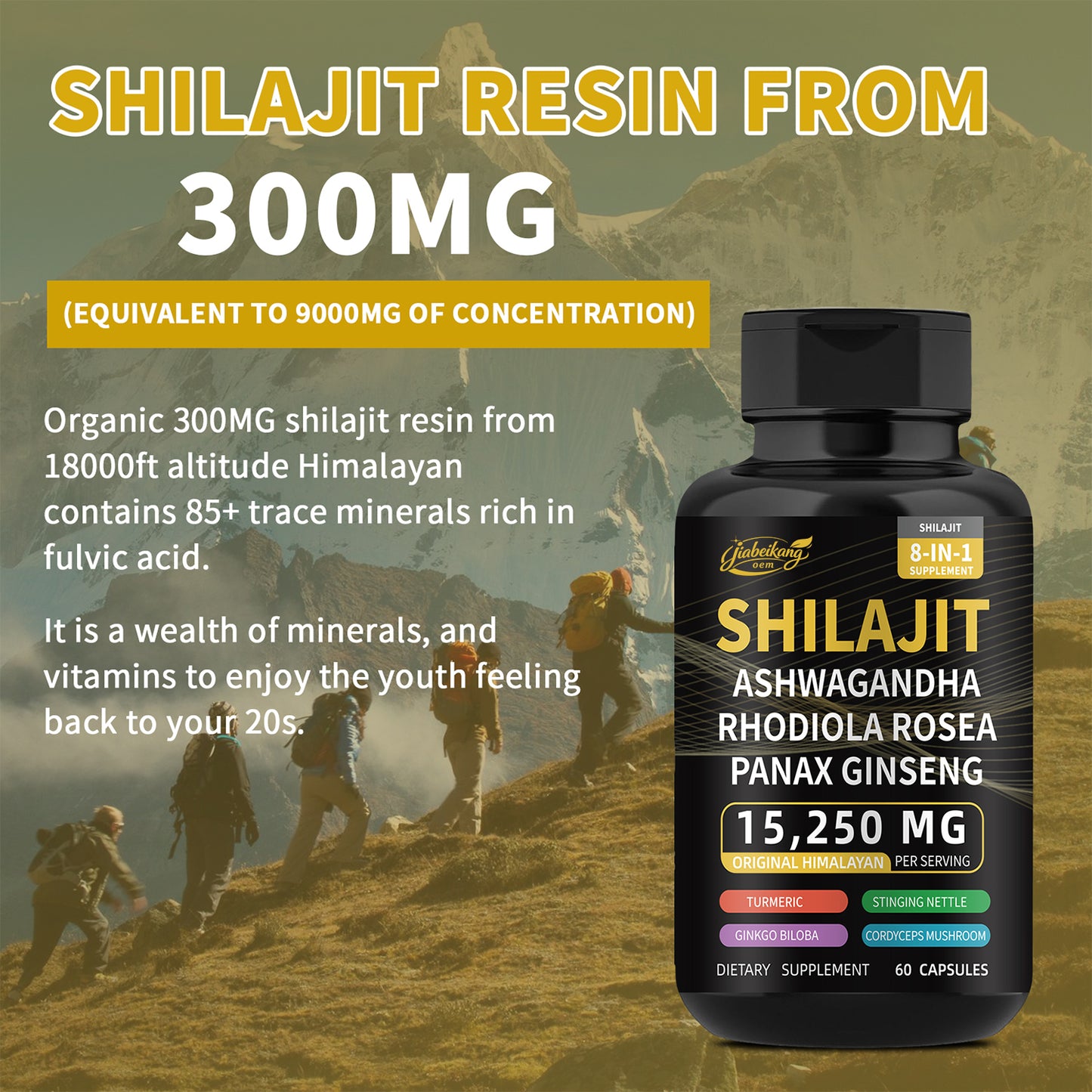 New good ready formula pure himalayan shilajit capsules with ashwagandha ginseng healthcare vitamin 8 in 1 energy supplement