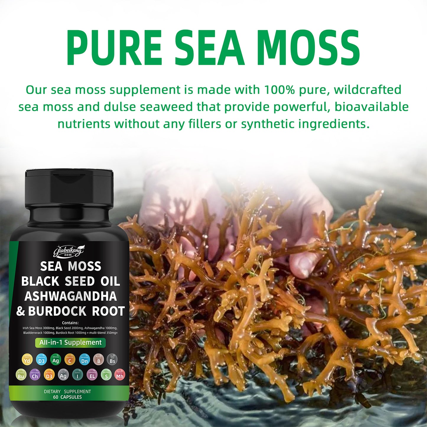 Effective formula ready stock wholesale private label sea moss ashwagandha black seed oil  multivitamin seamoss capsules