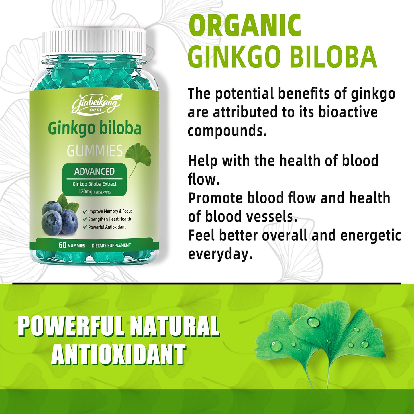 Jiabeikang Factory OEM ODM Custom Ready Stock Wholesale Herbal Supplement Memory and Focus Heart Health Ginkgo Biloba Gummies