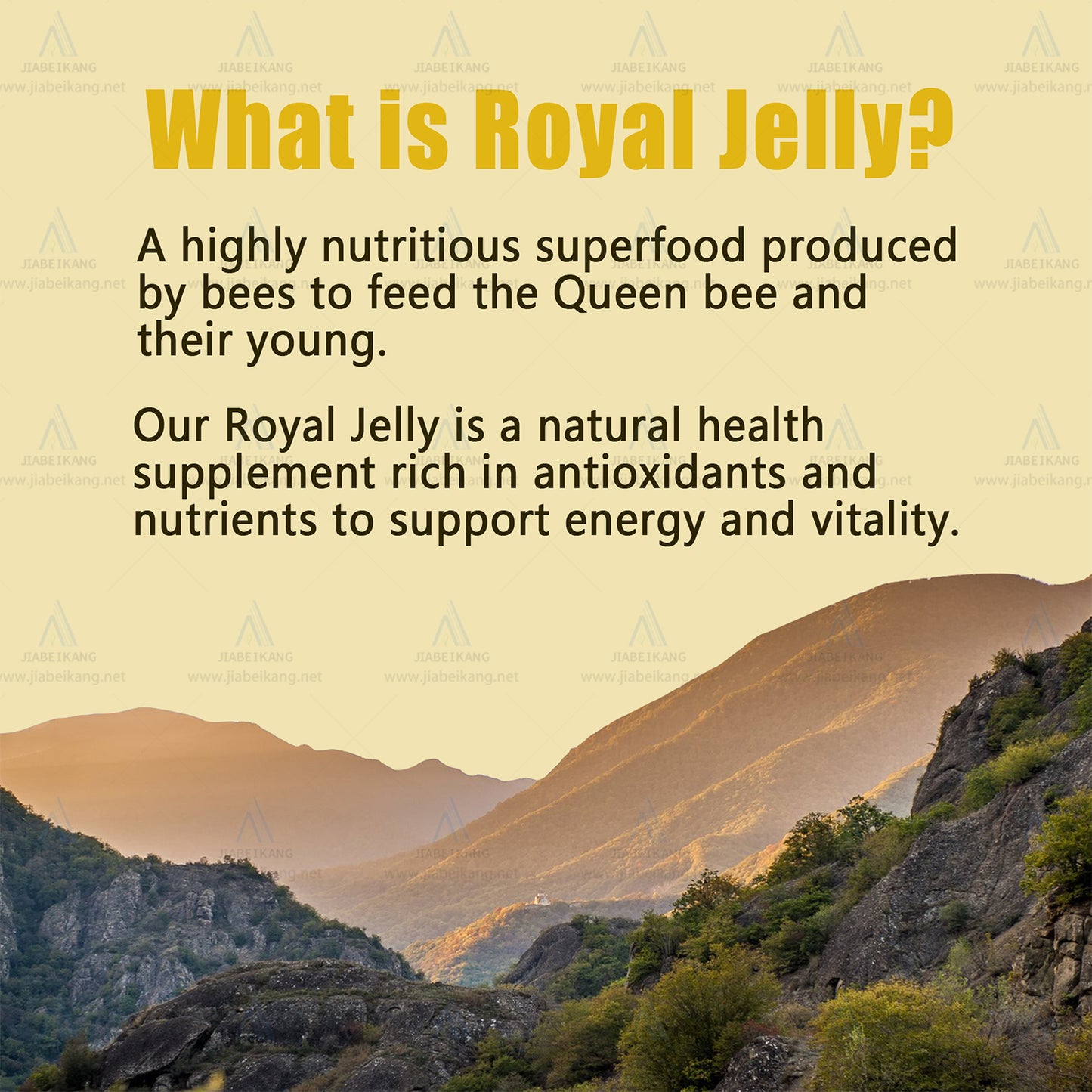 Health Products Royal Jelly Supplement Softgel Capsules