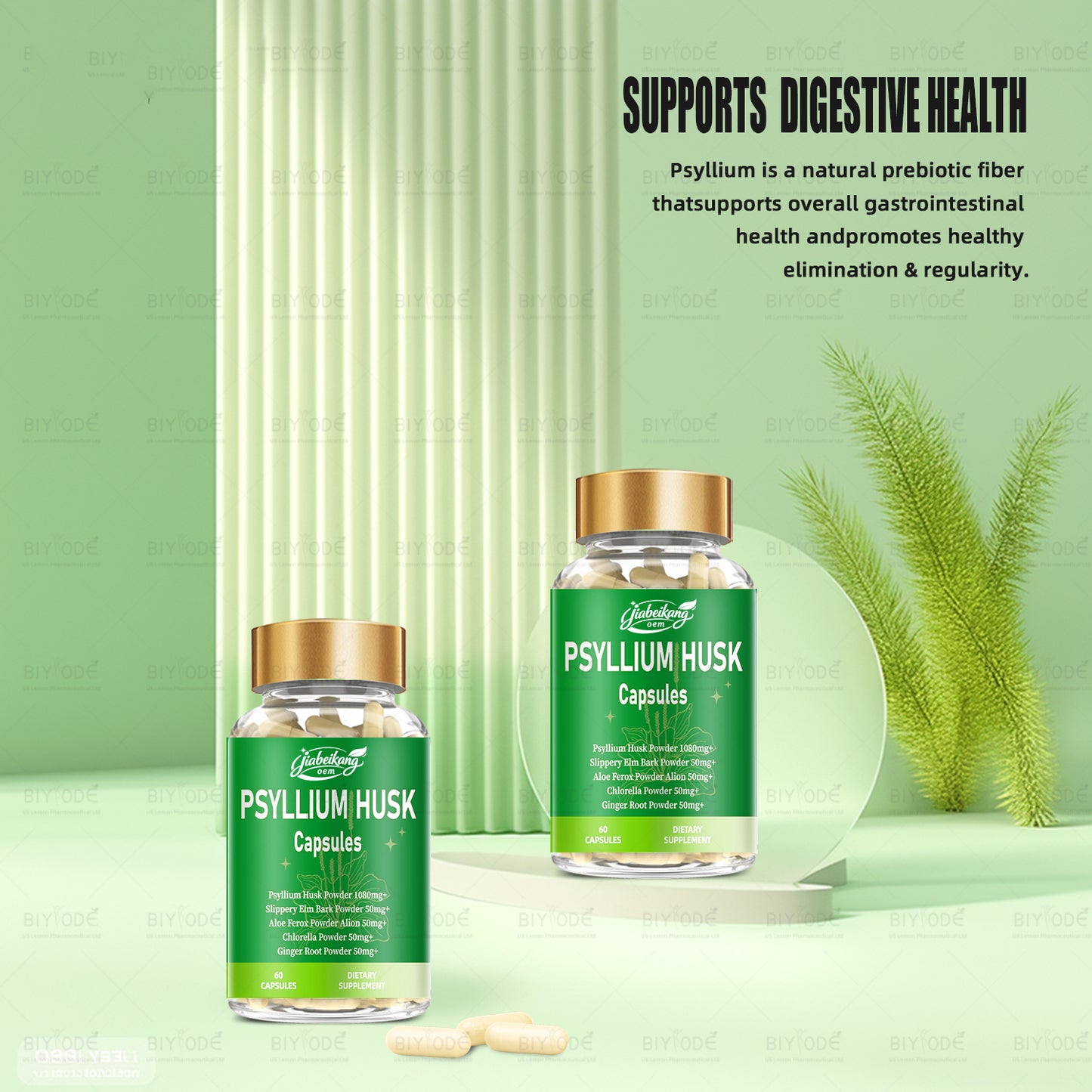 custom logo label supplement manufacturer Promotes intestinal health psyllium husk powder capsules