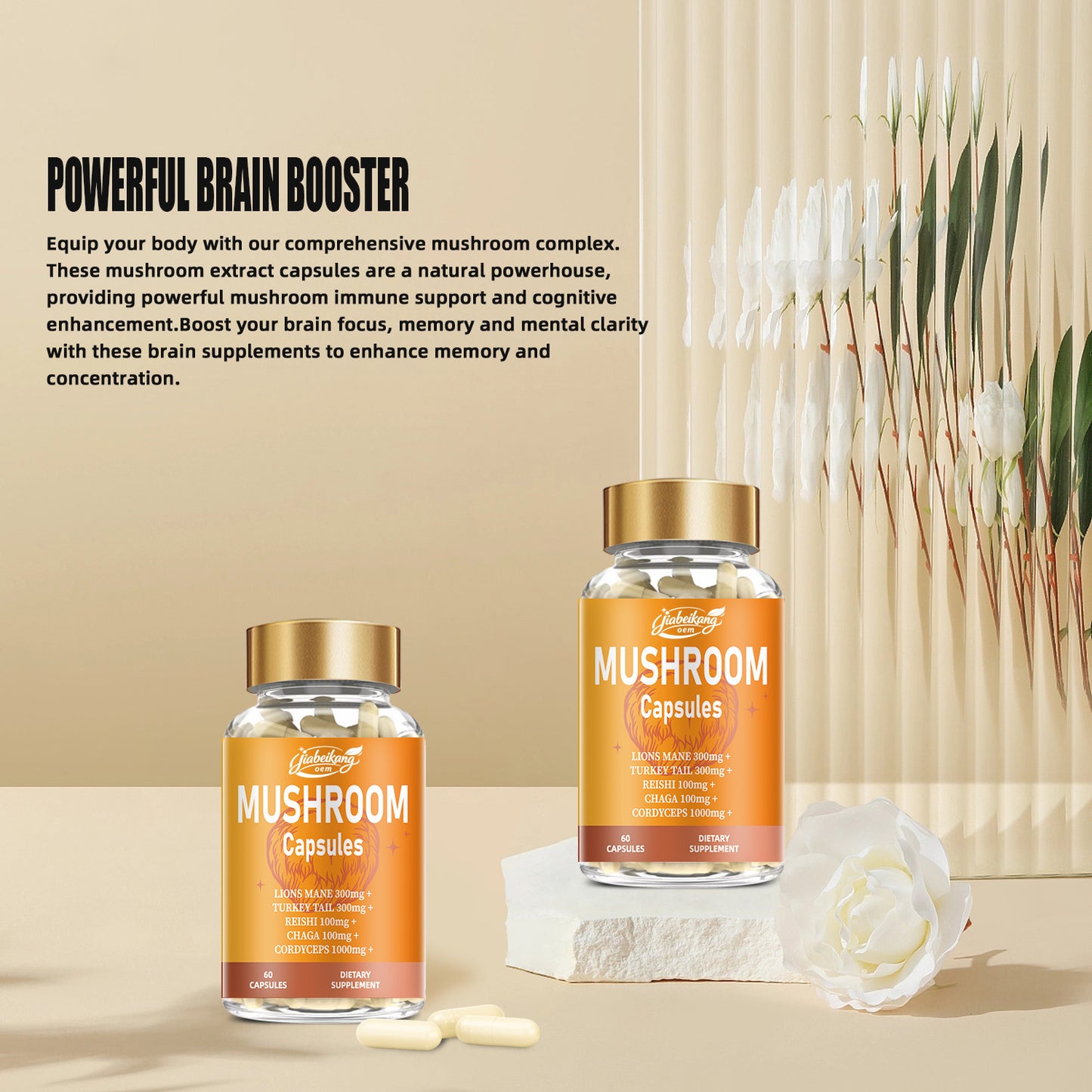 Jiabeikang Factory OEM ODM Custom Ready Stock Wholesale Immune Support Herbal Supplement Reishi Chaga Cordyceps Mushroom Capsule