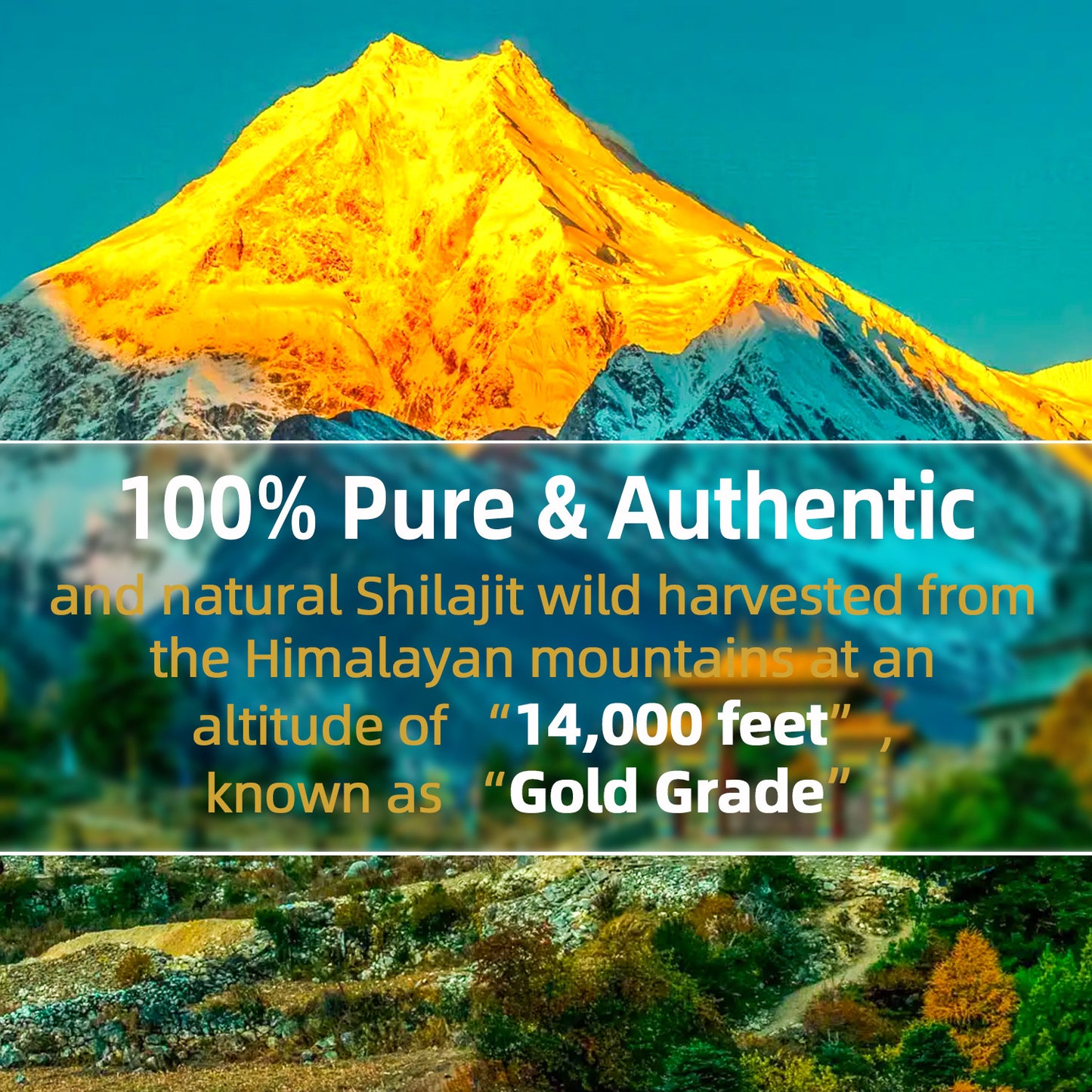 Shilajit Pure Himalayan Shilajit Resin - Gold Grade 100% Pure Shilajit with Fulvic Acid Wholesale Anti Aging Supplement