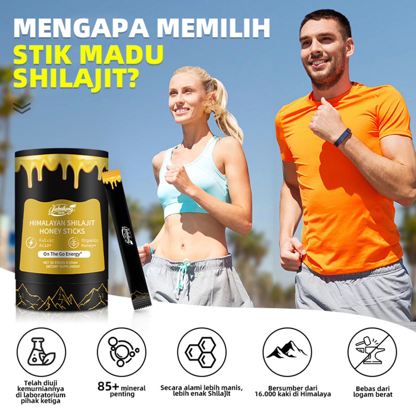 biyode effective formula fulvic acid orginic honey supplement ready stock fast shipping wholesale shilajit honey  sticks