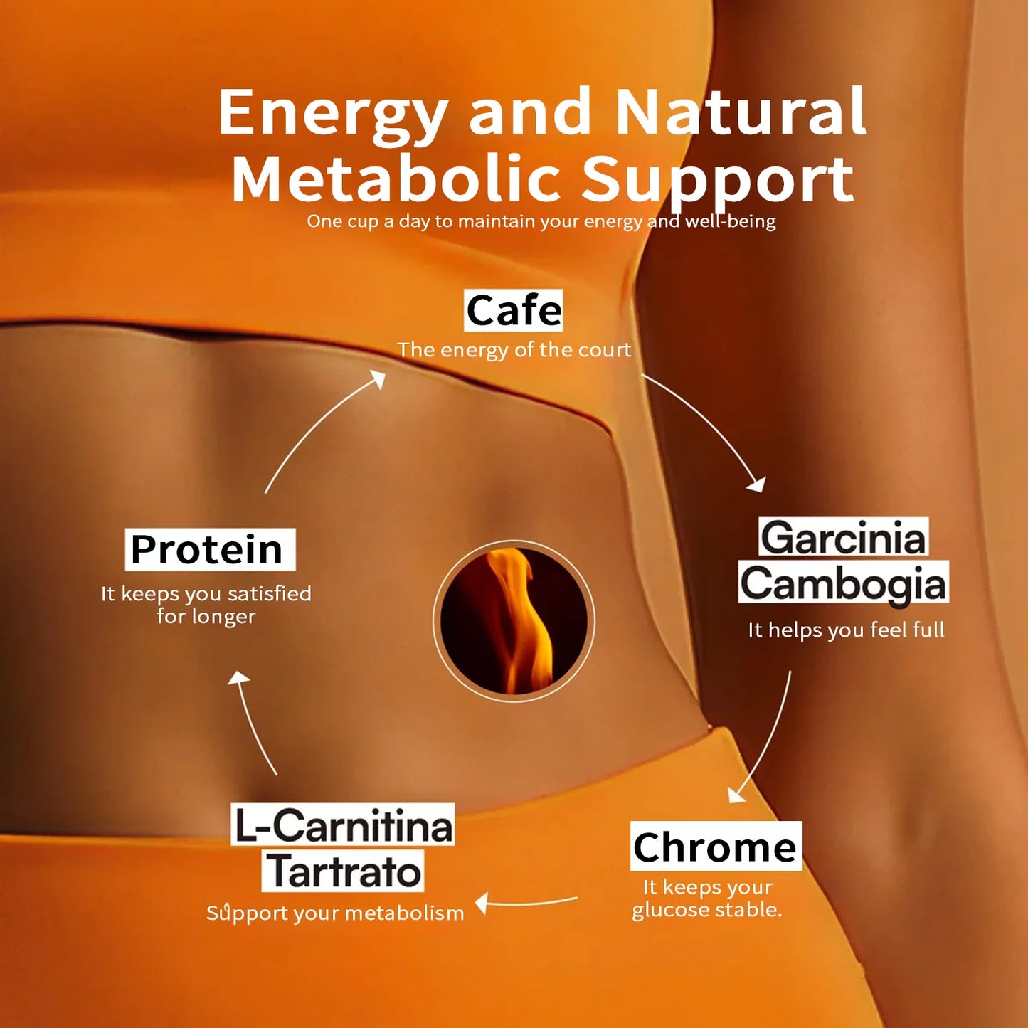 Protein Coffee Powder ¨C Fully Customizable Functional Coffee Solution