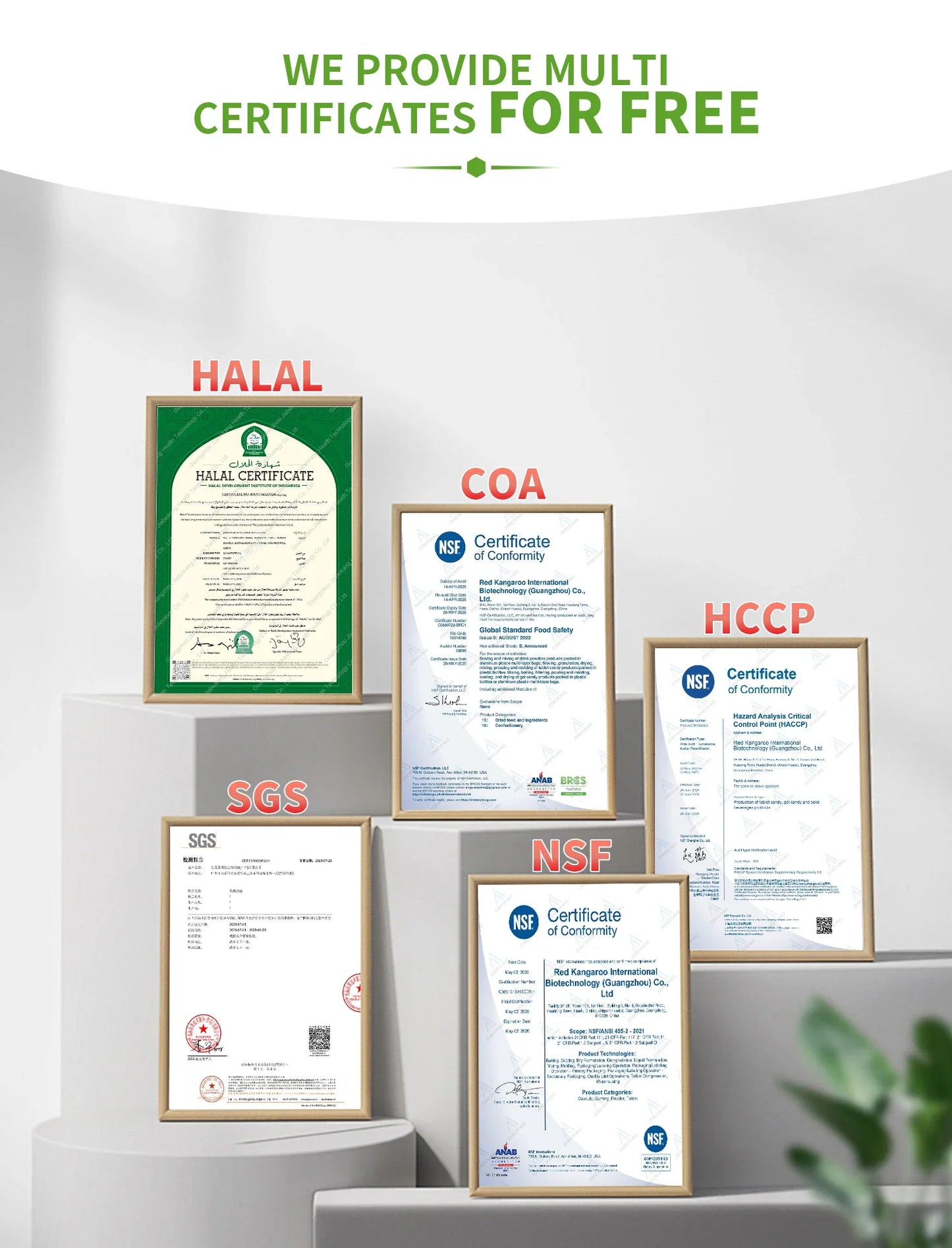 Custom Effervescent Tablet Manufacturing Support for Global Supplement Brands