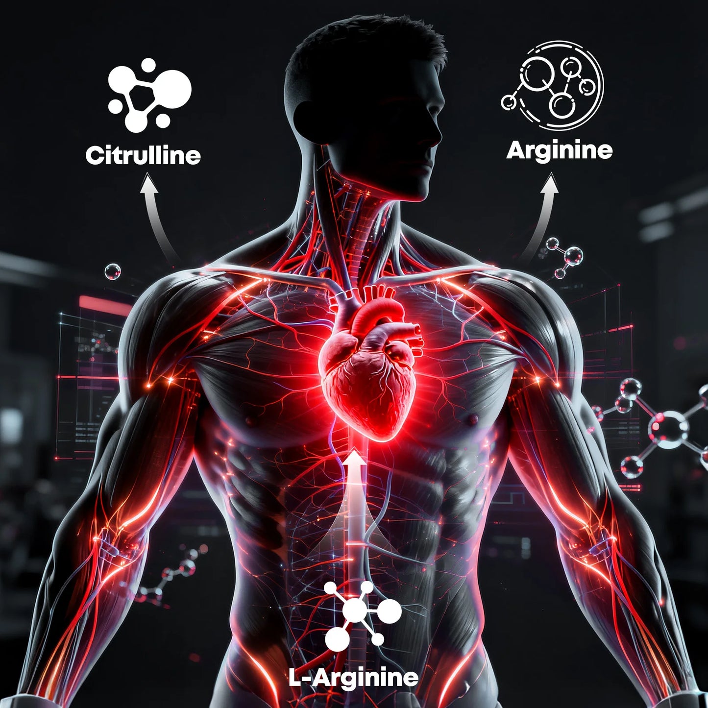 Nitric Oxide Capsules Private Label Non GMO Halal Supplement