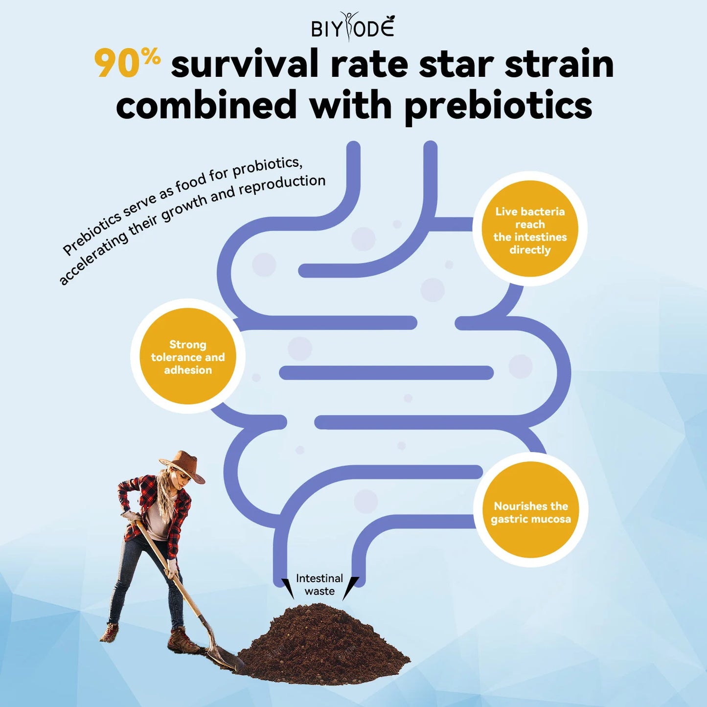 Manufacturer Wholesale Probiotic Gummies CFU with Prebiotics Passion Fruit Flavor Gut Flora Balance Daily Supplement OEM ODM
