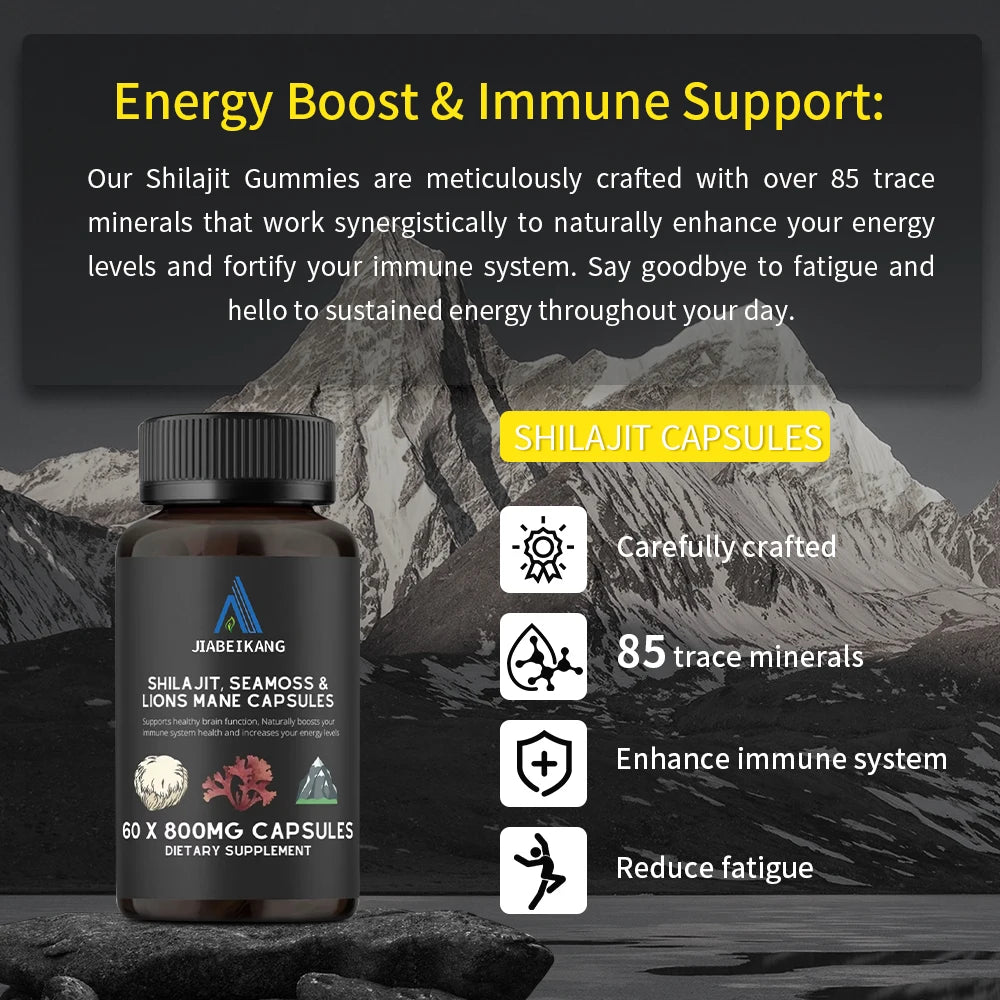 Hot sale wholesale herbal supplement himalayan shilajit new product fast shipping mushroom sea moss lions mane shilajit capsule