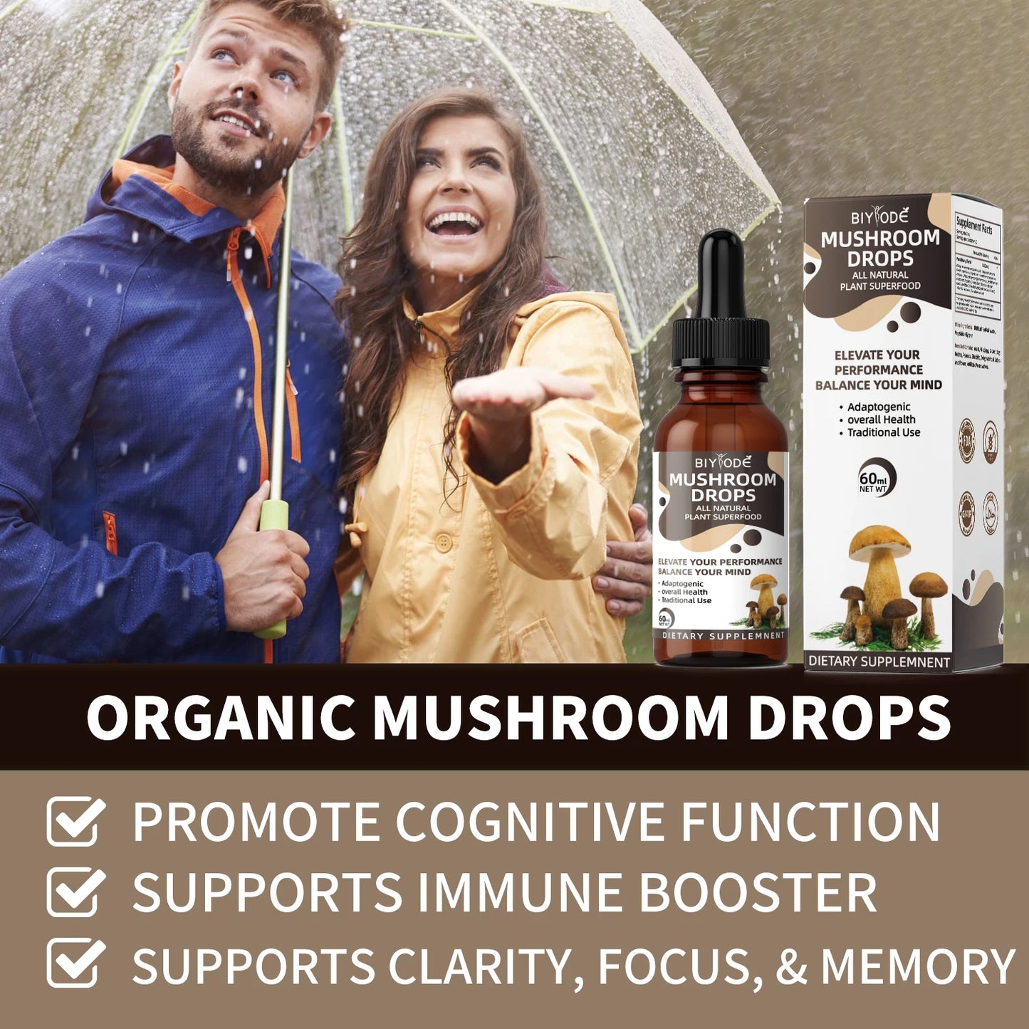 OEM ODM custom chaga mushroom extract lions mane herbal wholesale for nootropics brain supplement liquid drop