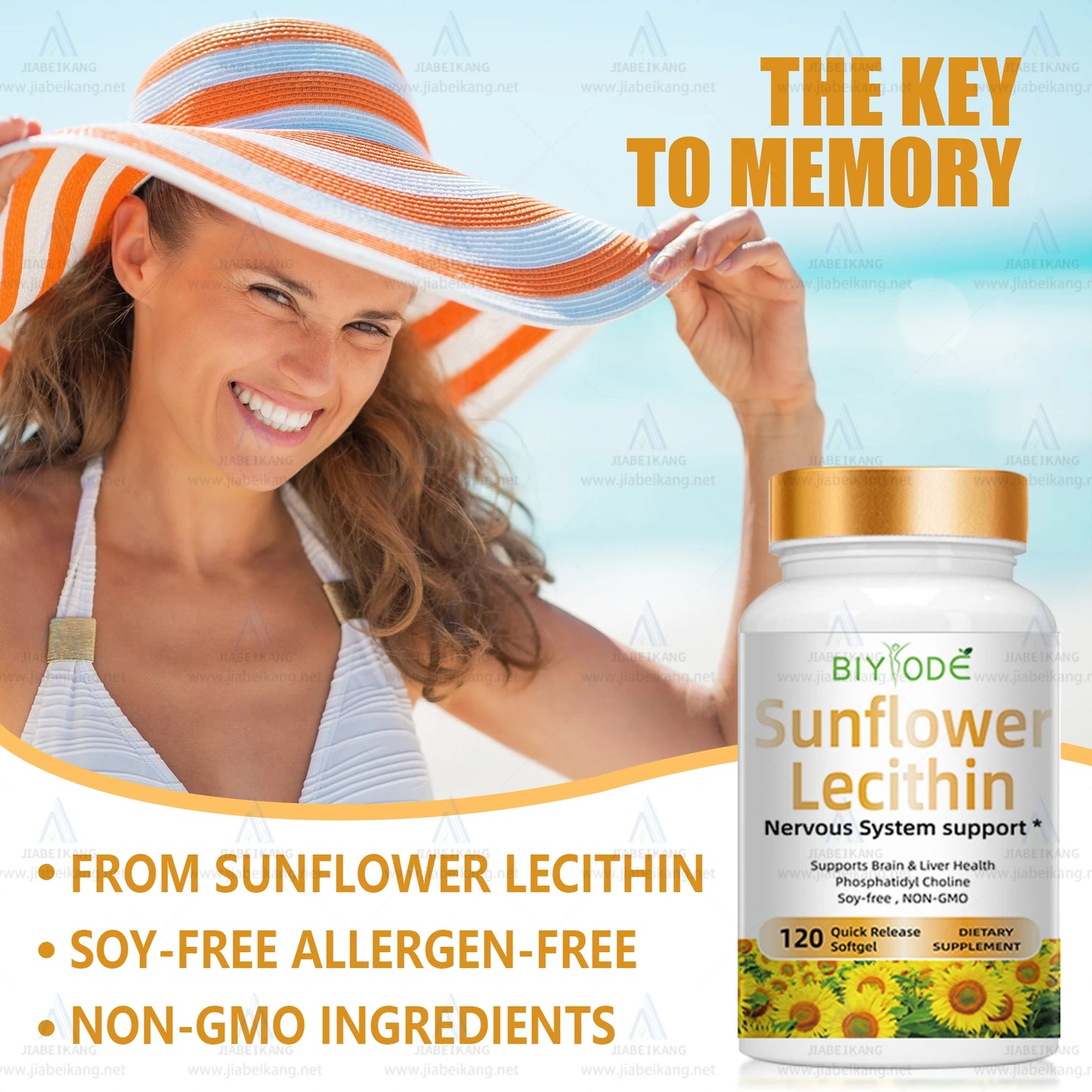 Healthcare nutrition lecithin sunflower lecithin softgel capsule private label