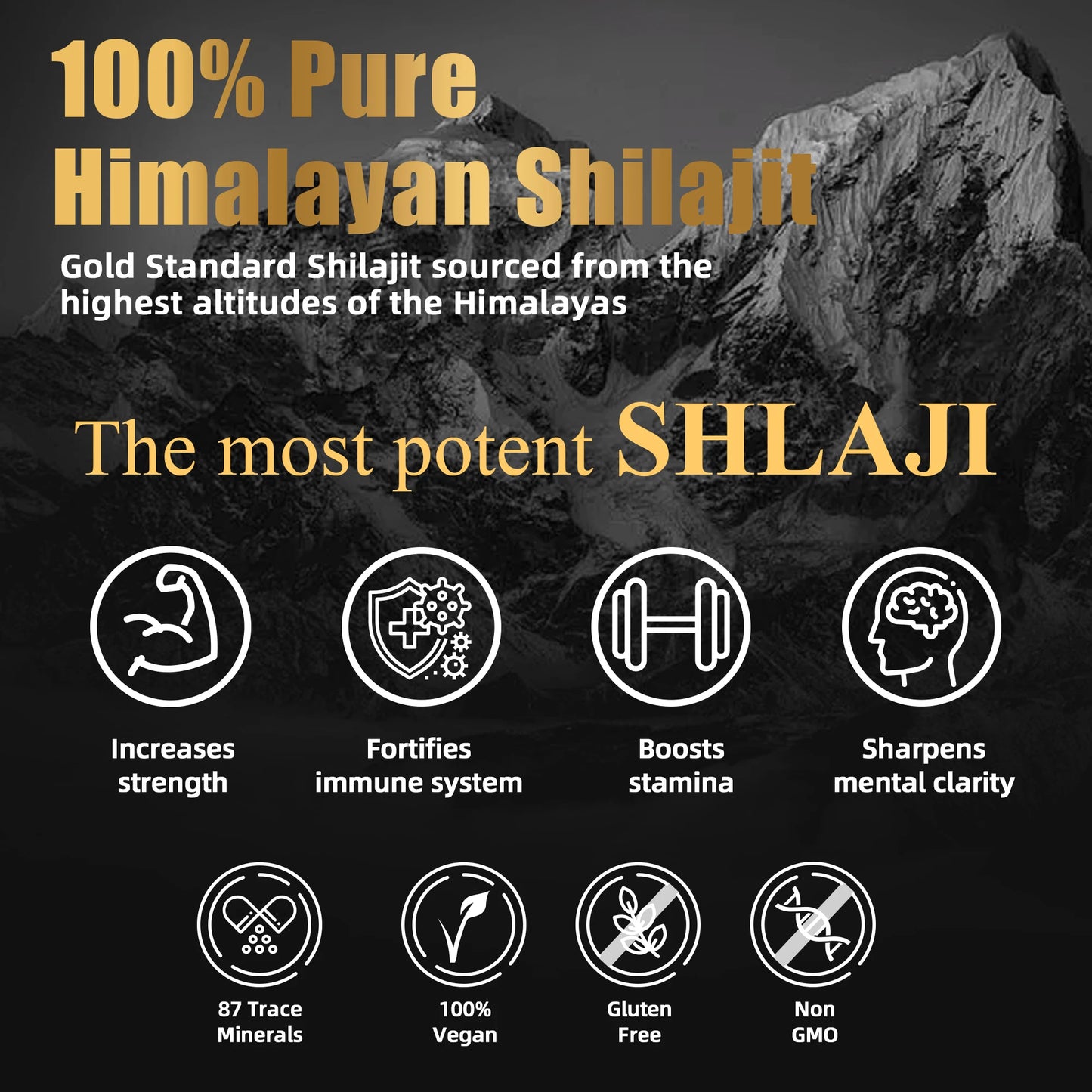 Shilajit resin supplement manufacturer