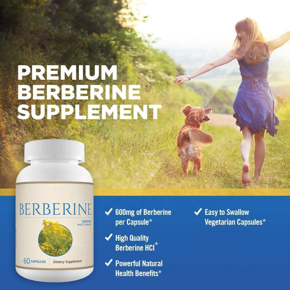 OEM Private Label Premium berberine aristatta organic hydrochloride Supplement Natural Capsules