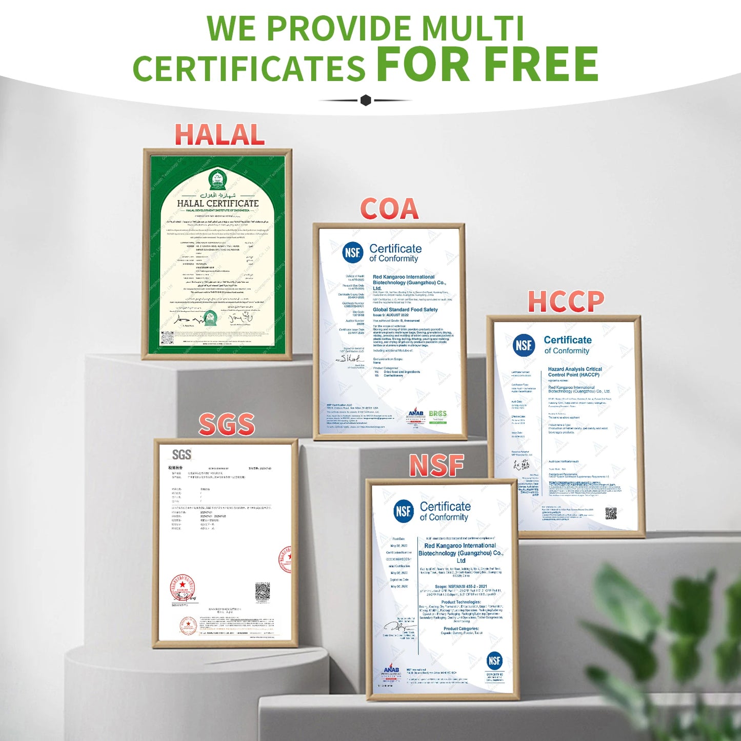 ODM Private Label Service Collagen Peptide Liquid Drink Supports Hair Skin and Nail Health