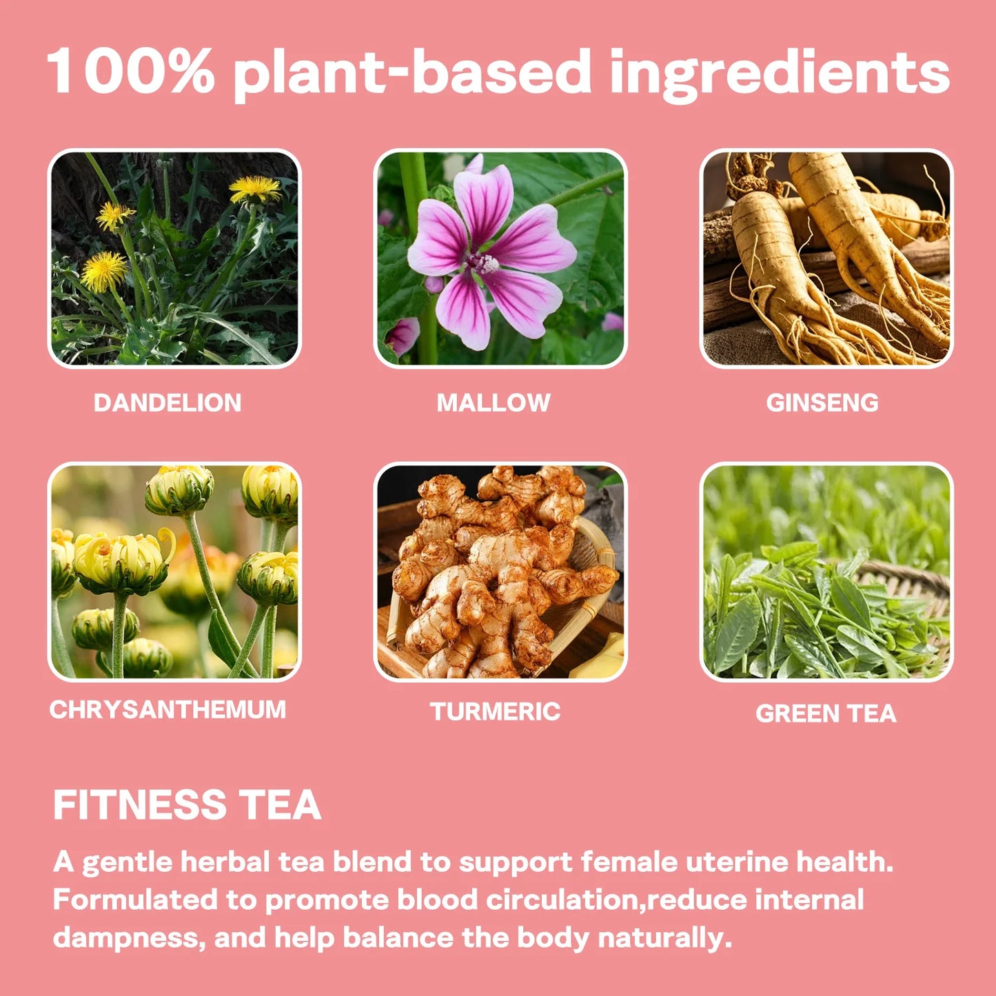 Private Label Womb Tea for Women Herbal Supplement OEM Postpartum Recovery Tea Nourishing Uterus Care Natural Detox Factory Wholesale GMP HALAL COA