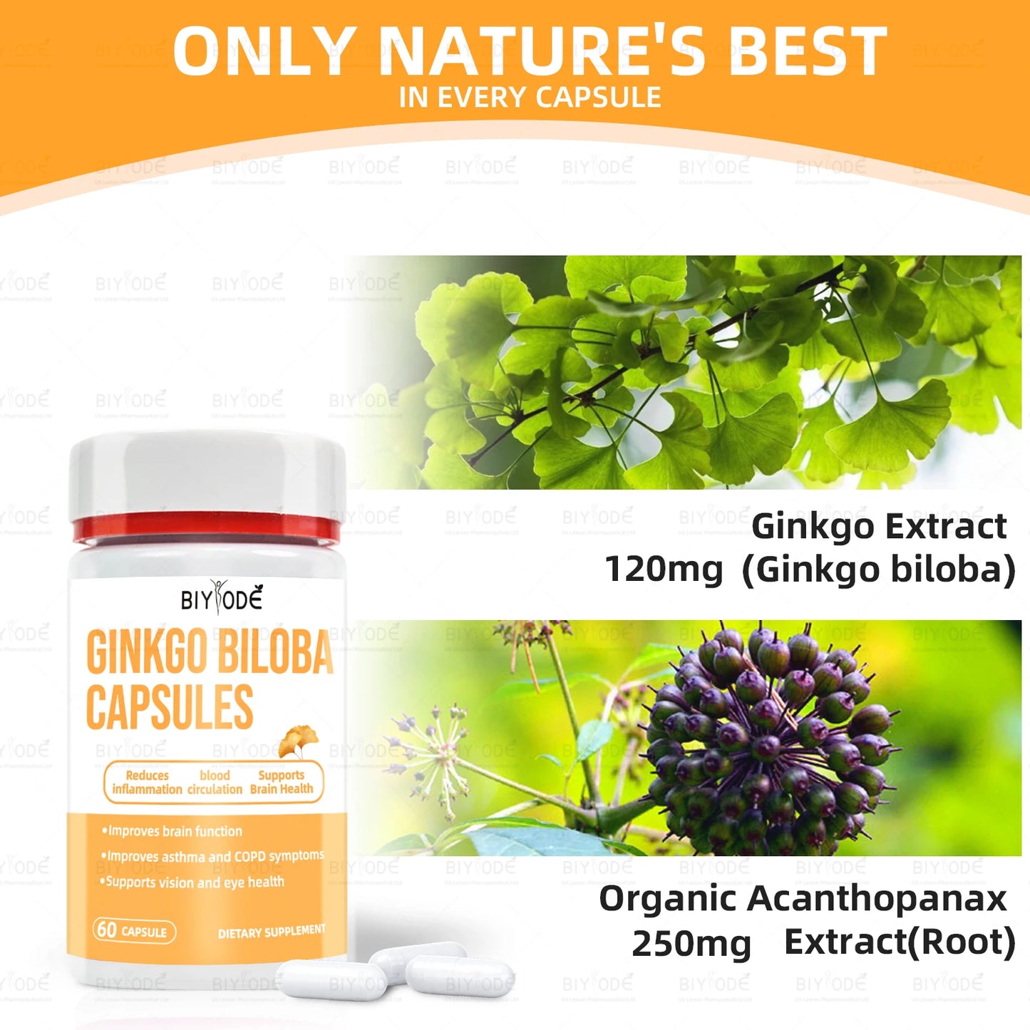 Jiabeikang Factory OEM ODM Custom Ready Stock Wholesale Brain Vision and Eye Health Herbal Supplement Ginkgo Biloba Capsules