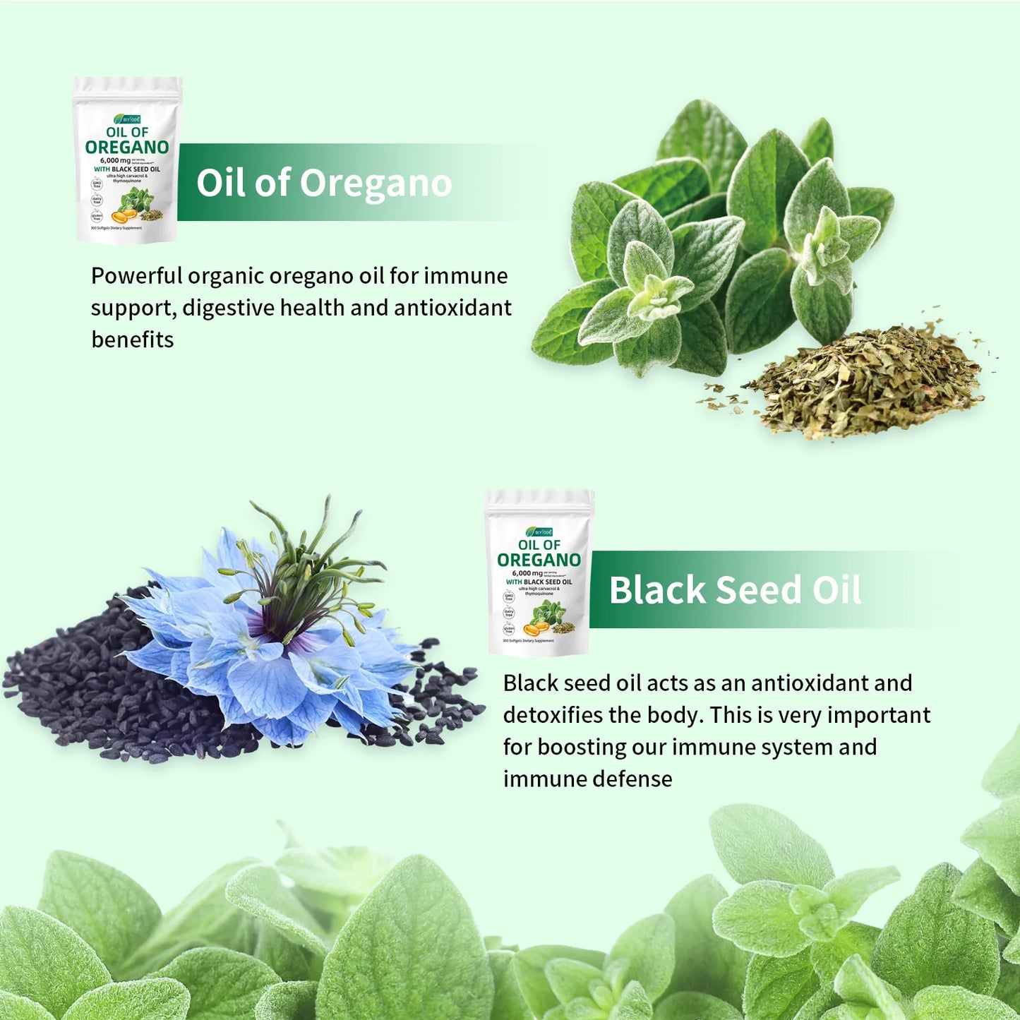 Organic oregano extract high potency herbal supplement black seed oil oregano softgel capsules